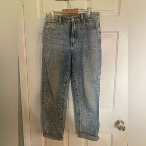 Dynamite Claudia Mom Jeans